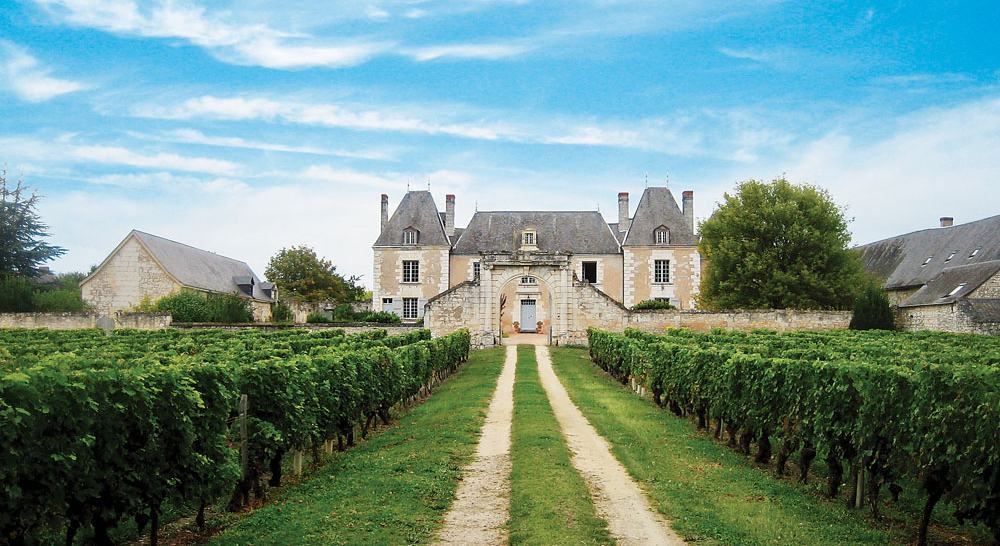 Domaine familial en appellation bordelaise