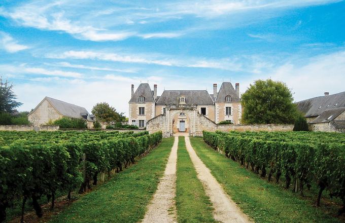 Domaine familial en appellation bordelaise