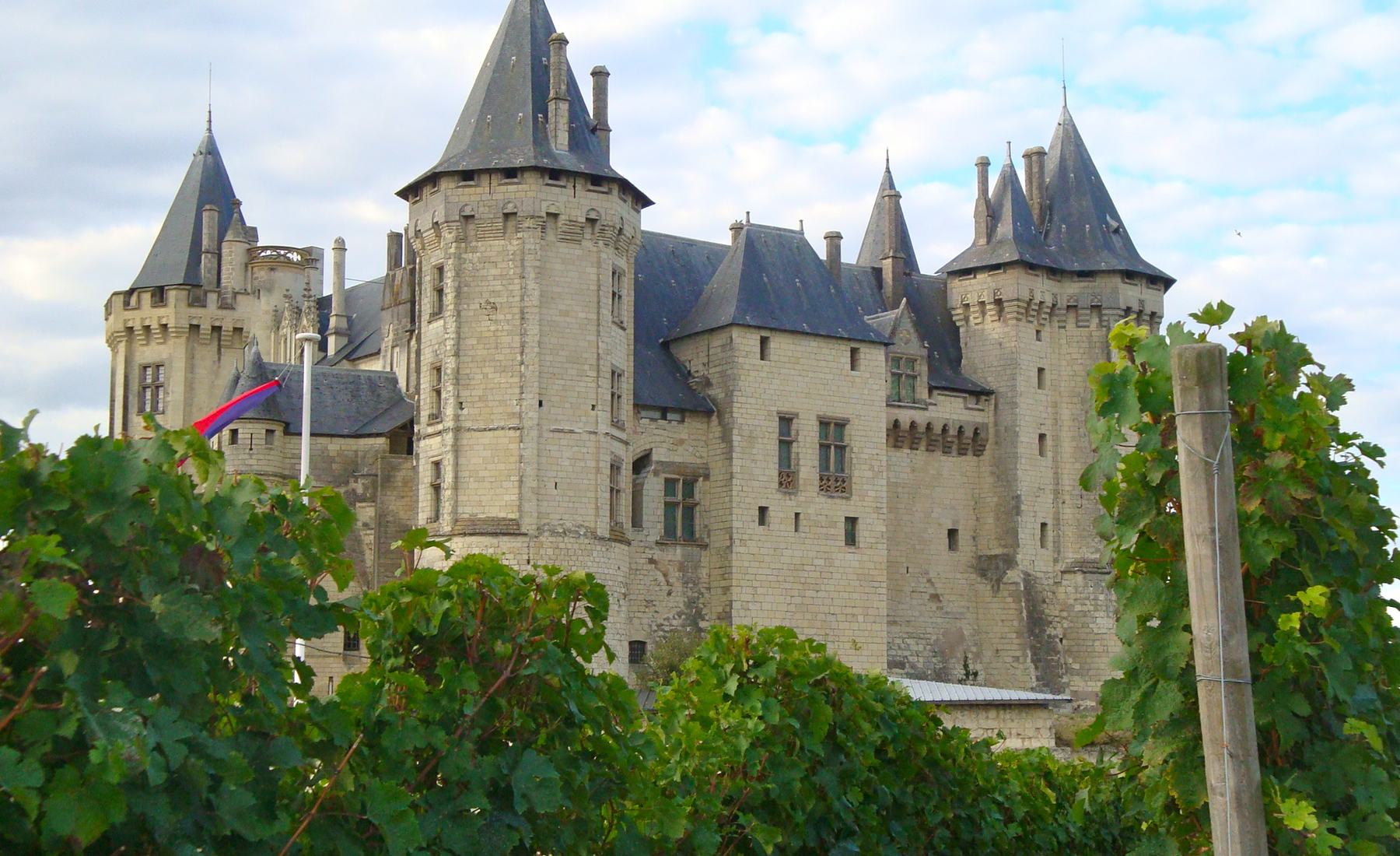 Chateau viticole premium avec parc et parcelles en arriere-plan