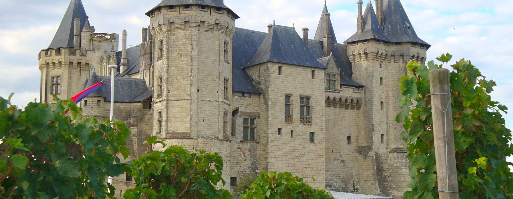 Wine estate with chateau, courtyard and vineyard parcels