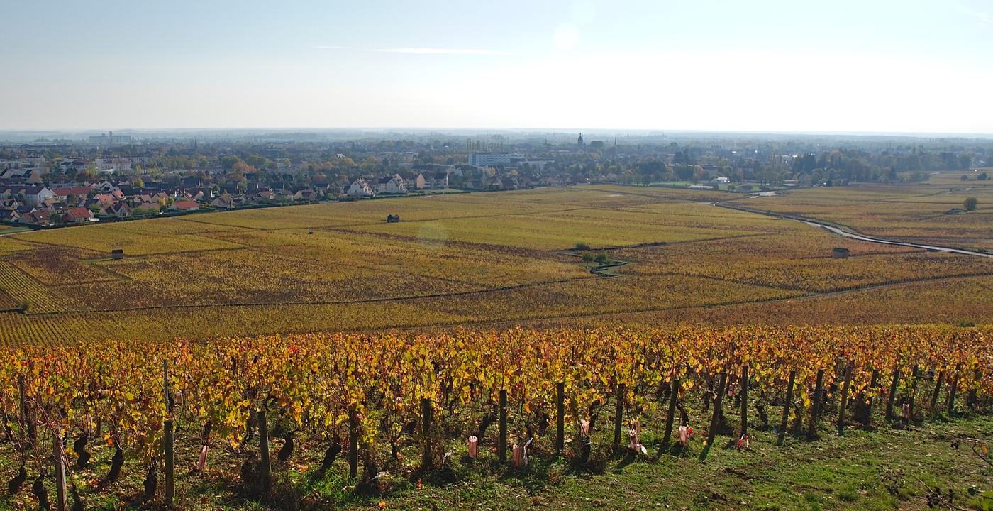 Propriété viticole bourguignonne pour illustrer la valeur d'un domaine