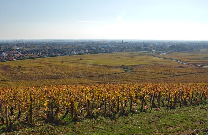 Vue complementaire de propriete viticole