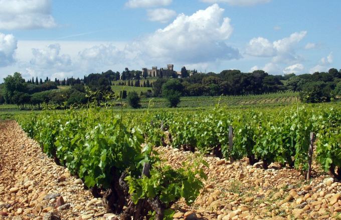 Vue complementaire de propriete viticole
